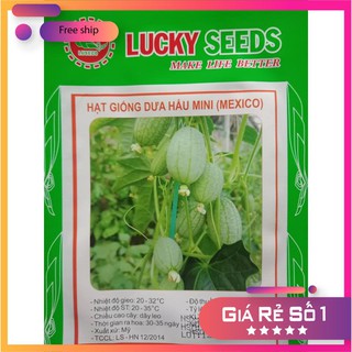 HẠT GIỐNG DƯA HẤU MINI - 10 hạt LUCKY.VN