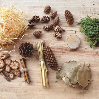 Set đồ khô trang trí chụp ảnh 10 món