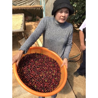 Organic Blend 500g