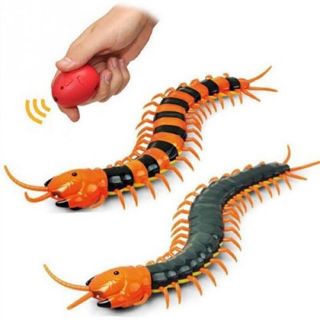 Rết điều khiển từ xa