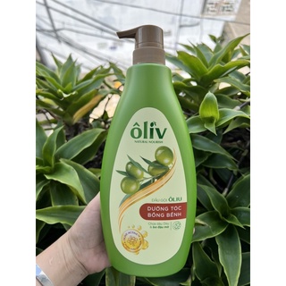 Dầu tắm - dầu gội oliu 650ml - proven - purite