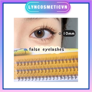 Mi giả đơn chiếc NESURA EYELASH