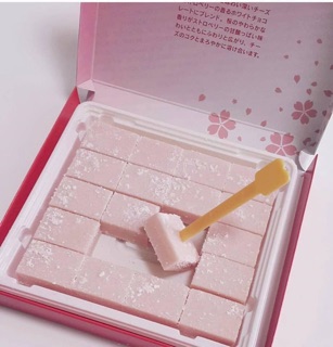 CHOCOLATE TƯƠI NAMA VỊ SAKURA