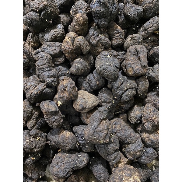 SINH ĐỊA LOẠI 1