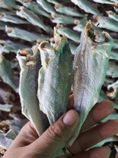 Khô Cá Lù Đù Lớn 1kg ( vị mặn)