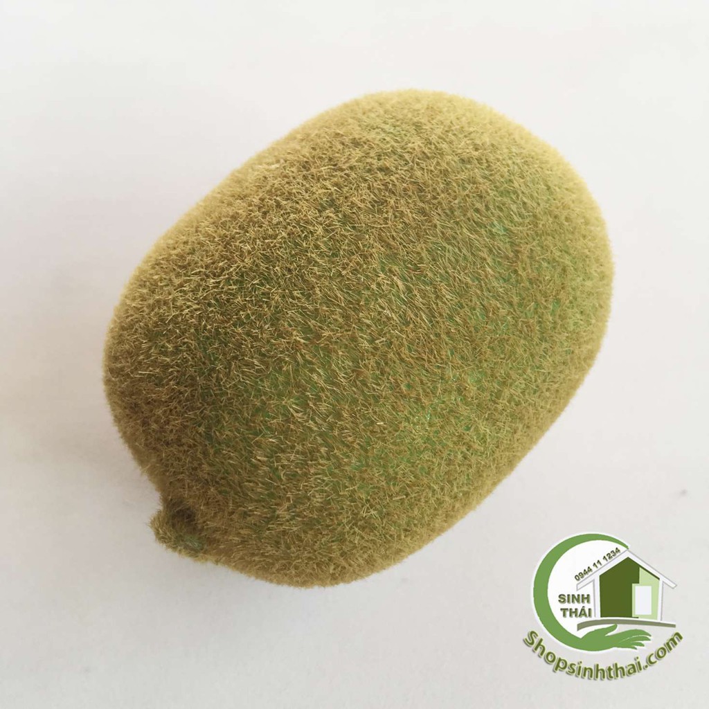 Trái kiwi giả - trái cây giả cao cấp