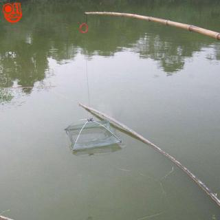 Lưới bắt cá , tôm , cua