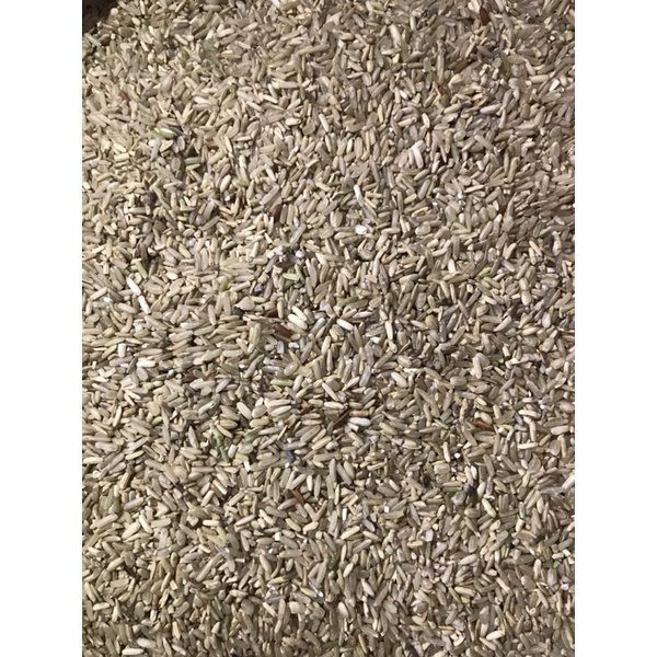 Freeship Tuấn Gạo Lứt thức ăn cho gà đá ,bồ câu và chim cảnh. 13.000đ/1 kg.