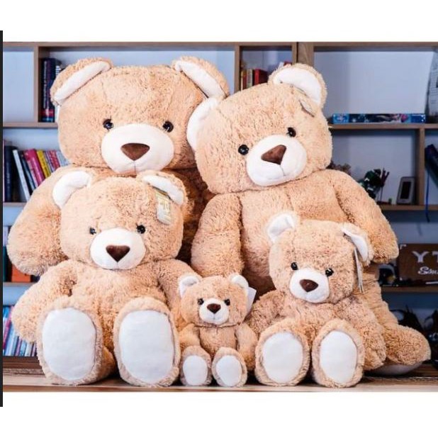 Gấu Bông Teddy Nhập Khẩu Thái Lan Cao Cấp  60cm Tặng Khăn len - Balo gấu