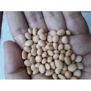 Đậu tương ta giống cổ 1 kg