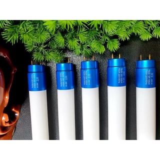 COMBO 3 Bóng Đèn, Máng Đèn Led Tuýt 60Cm / 1m2 Đầu Nhôm