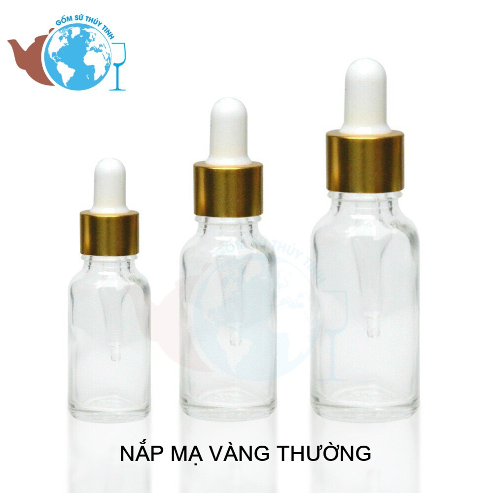 Bộ 10 chai thủy tinh 100ml đựng tinh dầu dạng bóp giọt