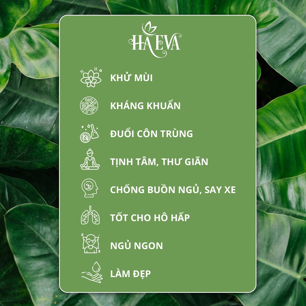 COMBO AN KHANG Ha Eva cao cấp, giúp khử mùi, diệt khuẩn, giải cảm, giảm stress, ngủ ngon, tạo hương thơm