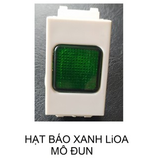 Hạt báo xanh lioa - mô đun.