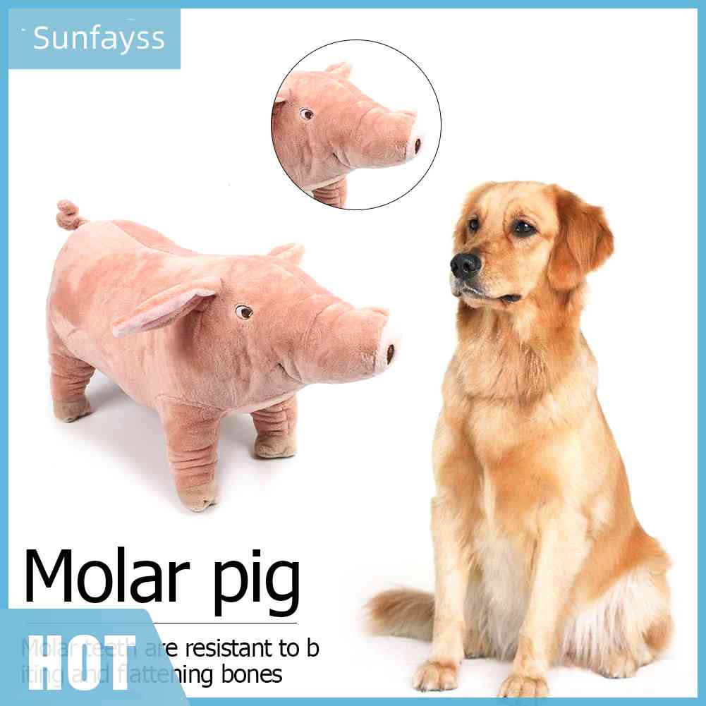 Thú Nhồi Bông Hình Heo Con Chống Cắn Dễ Thương Cho Thú Cưng