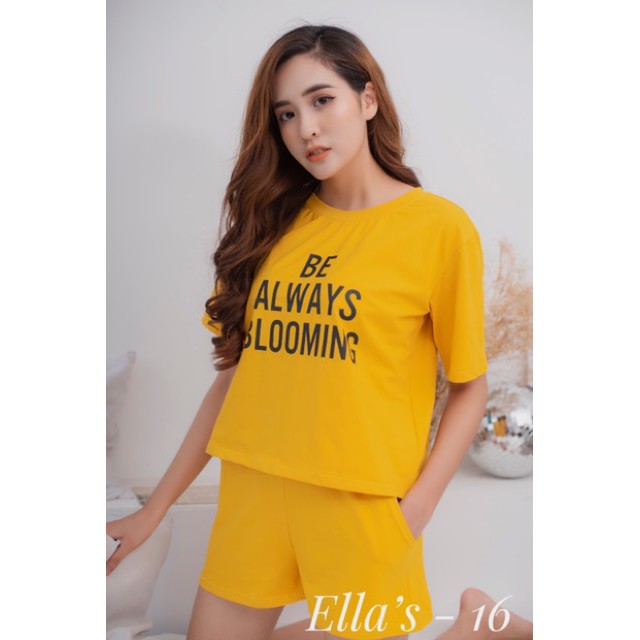 [Mã WA77 giảm 15% đơn 150k] [Khuyến Mãi Sốc] Đồ Mặc Nhà - Cotton 100%- Mua 2 Tặng 1 | BigBuy360 - bigbuy360.vn