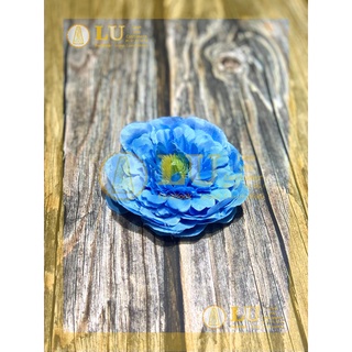 Đầu hoa tràm trà 9 - 10cm | LU
