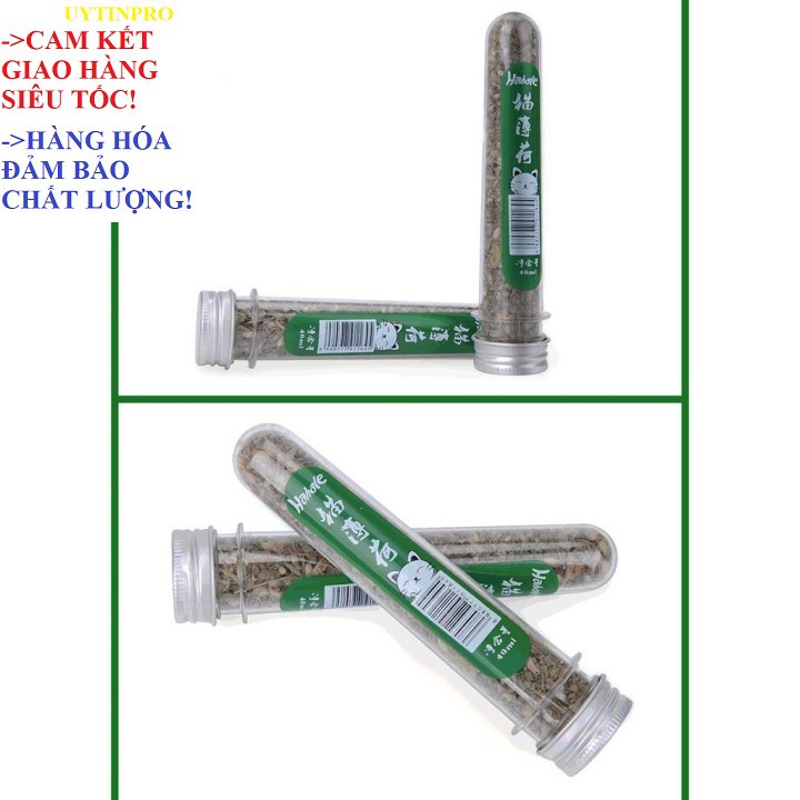 ỐNG CỎ BẠC HÀ MÈO Catnip HahaleỐng Cỏ Bạc Hà Mèo Cat mint Hahale