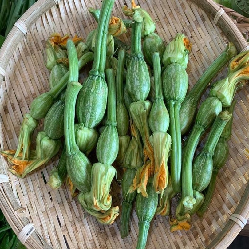 Hạt giống bí nụ lai F1 - Bí đậu ăn non gói 10gram-xn