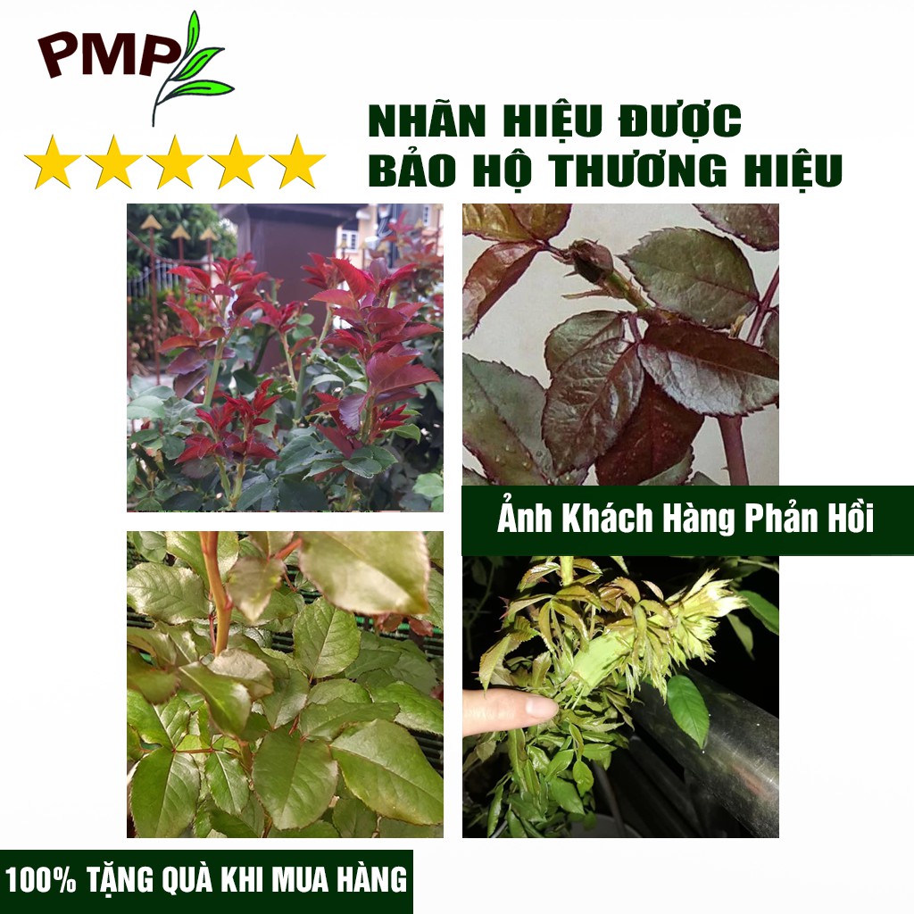 Phân SOYMIC PMP Siêu Phân Bón Ủ Vi Sinh Từ Đậu Nành, Trứng, Chuối, Humic, Vi Lượng Cho Hoa Hồng, Rau Sạch 500ml