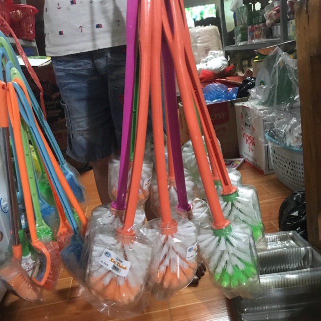Cây cọ bồn cầu