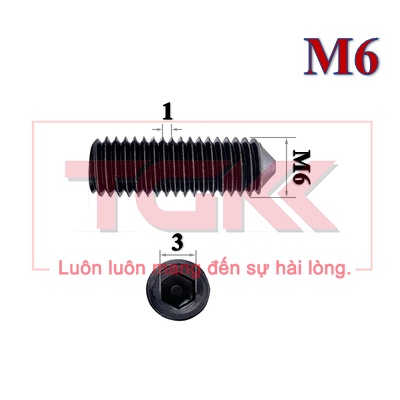 Vít trí đầu nhọn thép đen M6