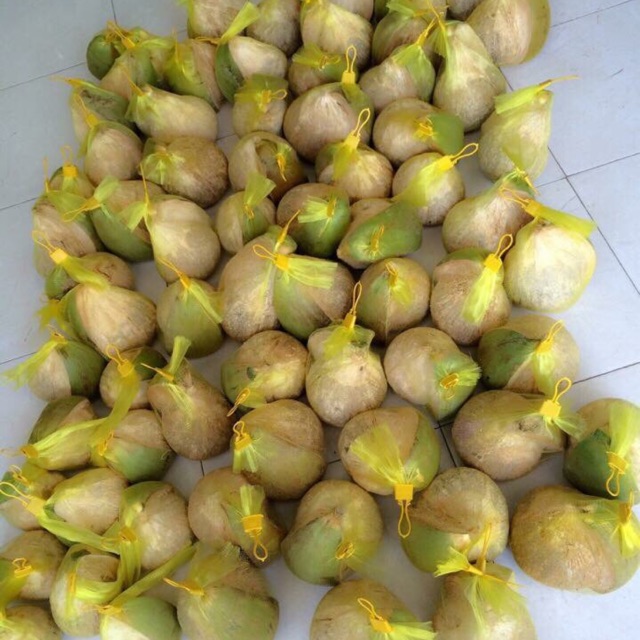 COMBO DỪA SÁP