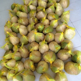 Combo dừa sáp