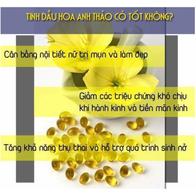Viên uống Tinh Dầu Hoa Anh Thảo Hàn Quốc Gamma Linolenic Acid Evening Primrose Oil Hàng Cao Cấp Mẫu Mới 300 viên