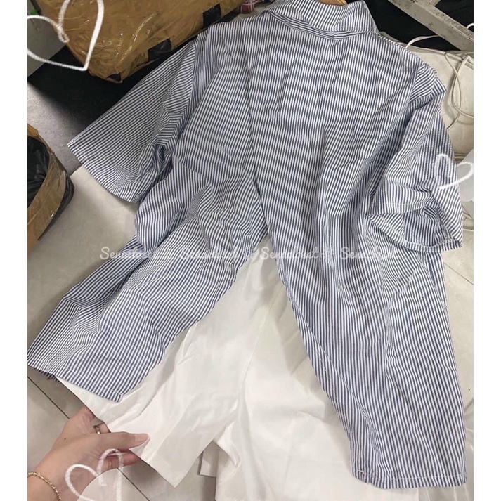 Full set sơmi kẻ xẻ tà sau chất xốp quần short trăng ( Ảnh thật )