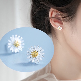 Bông tai hoa cúc 🌼 hoa tai cúc bạc 925 sang trọng cho nữ