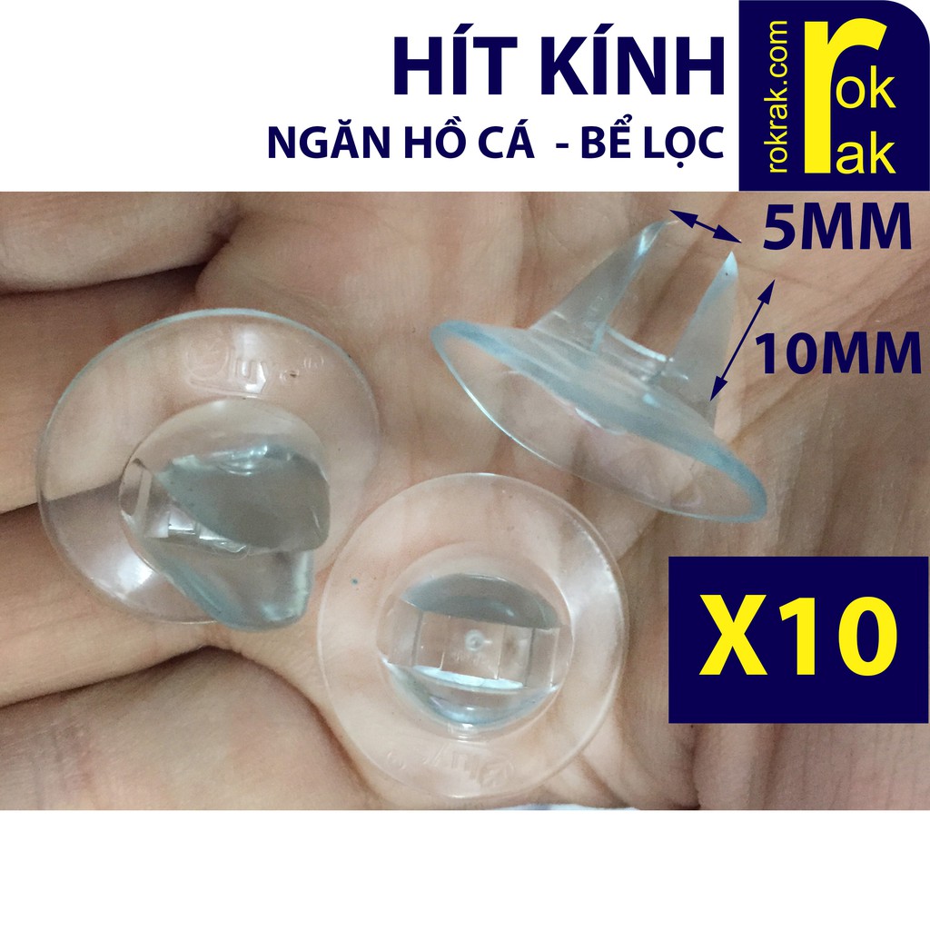 Combo 10 Hít kính giữ vách Ngăn Hồ cá bể lọc chắc chắn