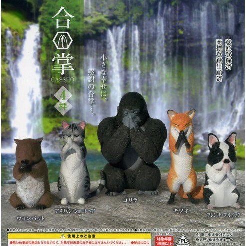 Đồ chơi Gacha động vật cầu nguyện dễ thương 5cm cập nhật thường xuyên HIMECHAN