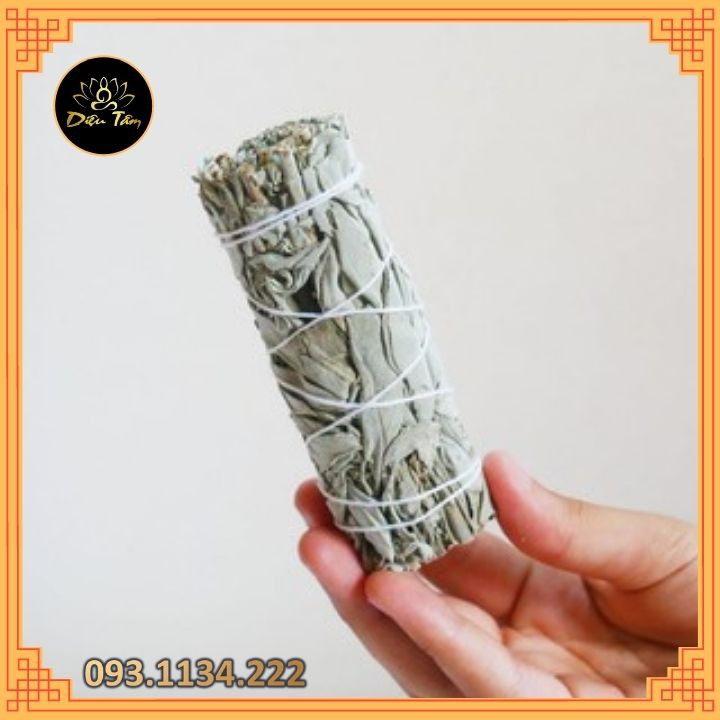 XÔ THƠM TRẮNG thanh tẩy - WHITE SAGE  - THẢO MỘC XÔNG NHÀ