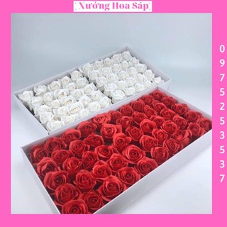 Hoa hồng sáp màu đỏ