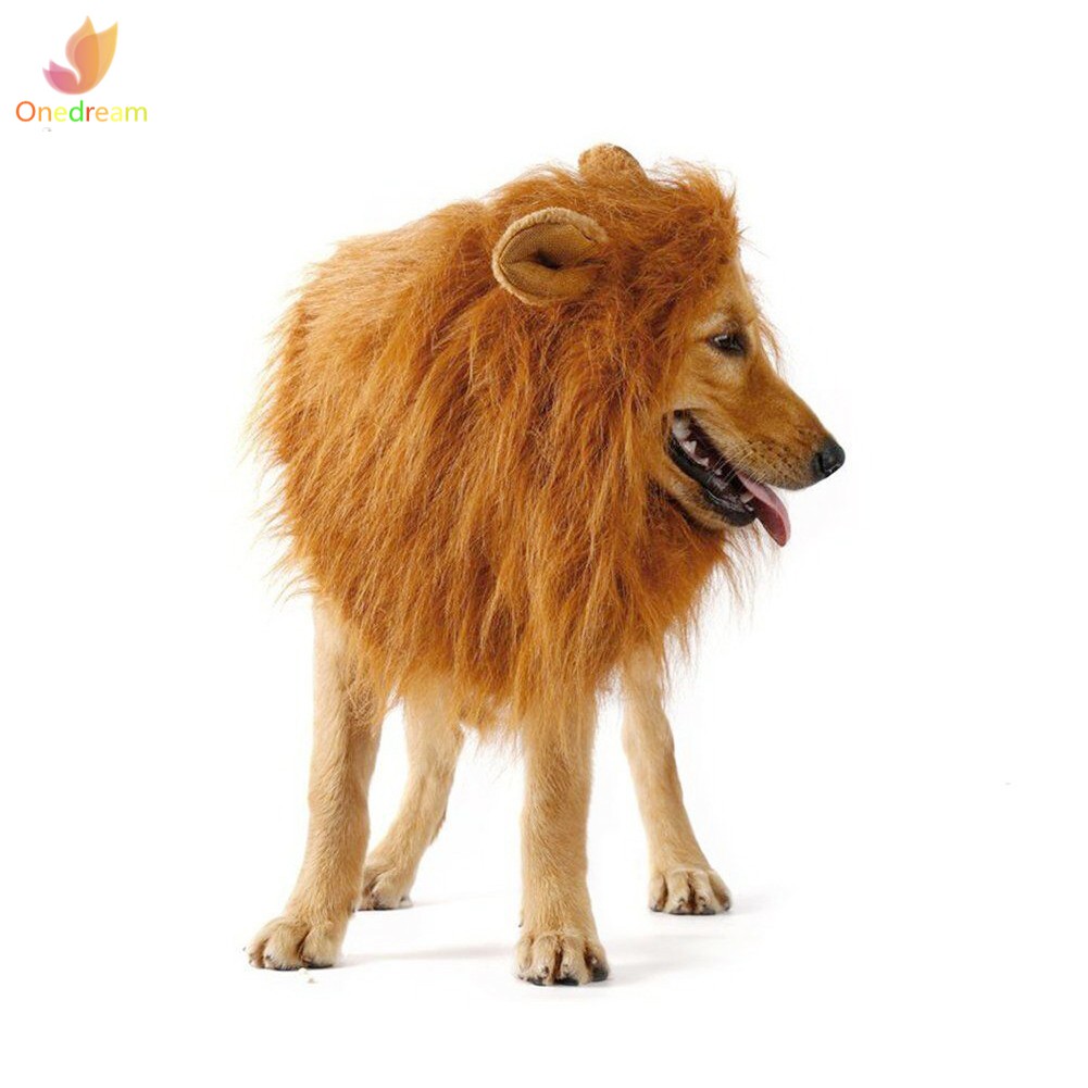 Bờm Sư Tử Giả Cho Thú Cưng