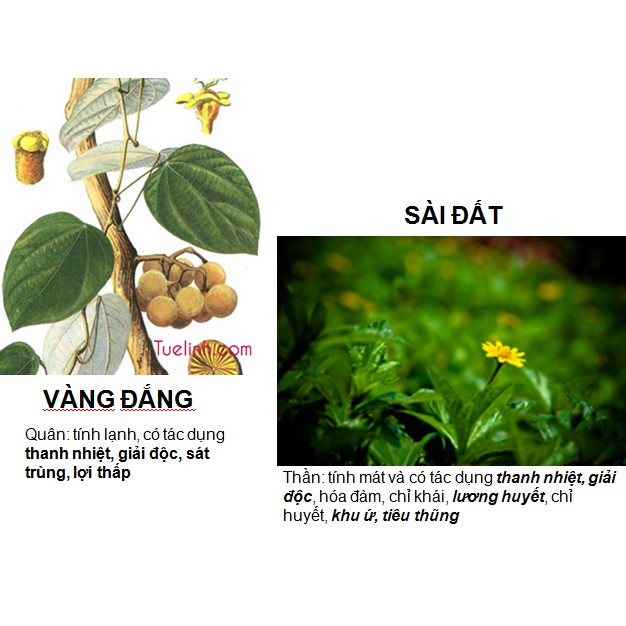 Nước Tắm Thảo Dược Cho Bé Giảm Rôm sẩy- TAMROM Giúp thanh nhiệt giảm dị ứng tăng cường sức khoẻ cho Bé