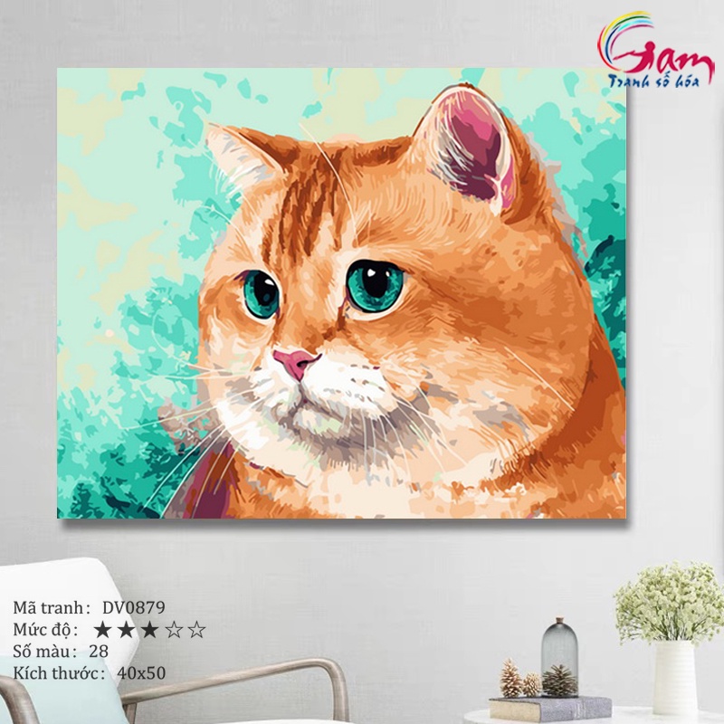 Tranh tô màu theo số mèo mập mắt xanh có sẵn đã căng khung 40x50cm DV0879