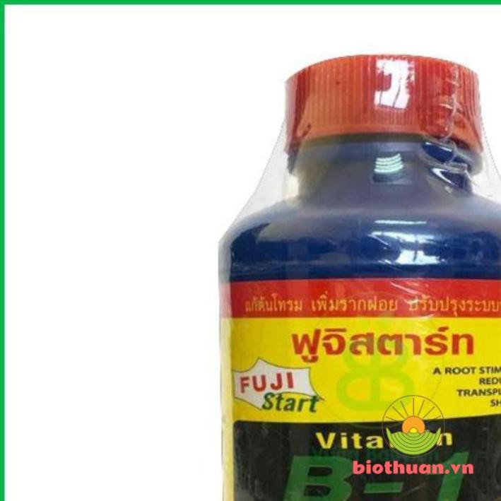 Vitamin B1 Thái lan (100ml)