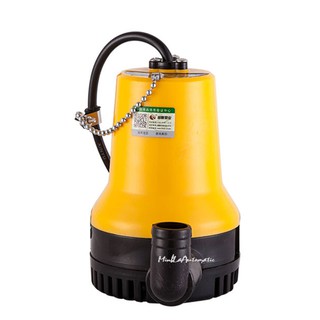 Máy bơm chìm 12V
