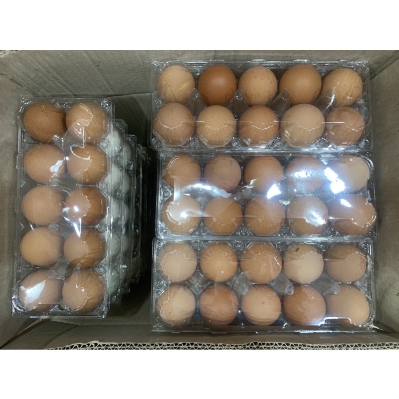 [QUẬN 5] TRỨNG GÀ - VỊT TƯƠI VỈ 10 | BigBuy360 - bigbuy360.vn