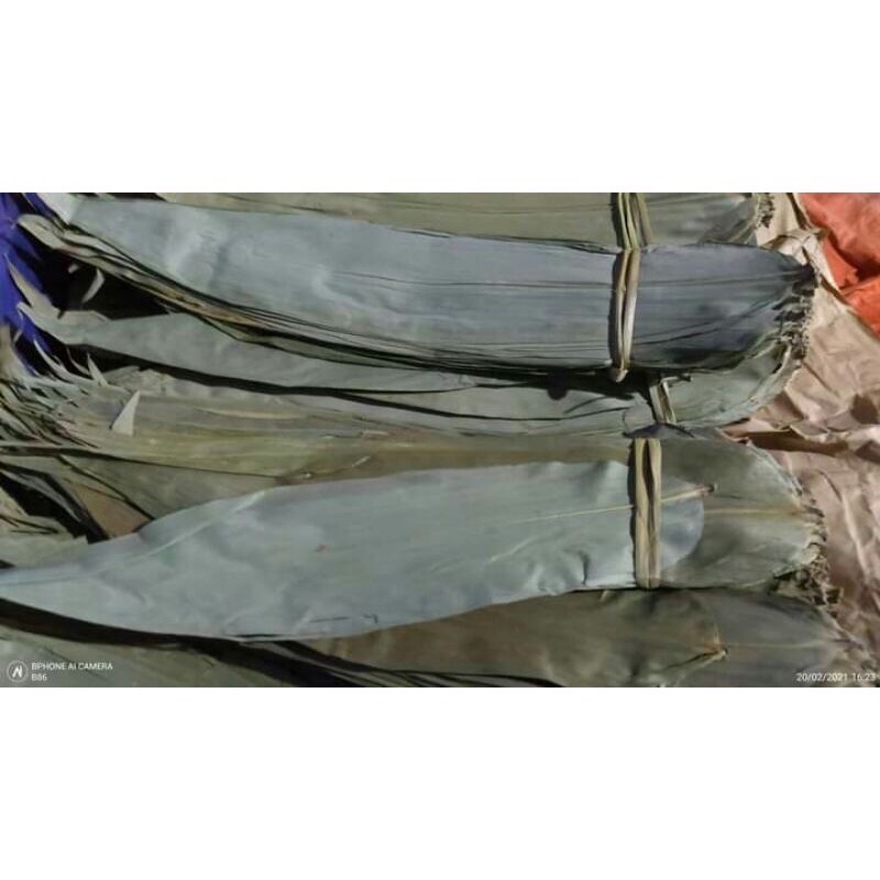 500gram Lá tre khô