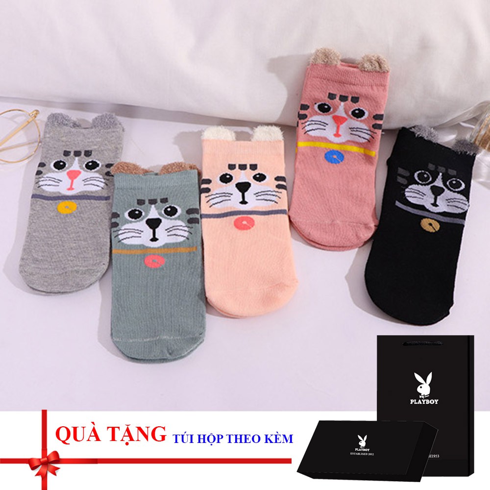 Combo 05 đôi tất / vớ nữ cao cấp có kèm hộp đựn (Loại 1)