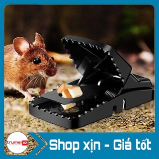 Bẫy chuột thông minh