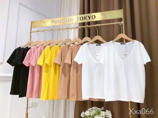 🌸 Áo thun giấy chất đũi xước mềm mịn mát !!!