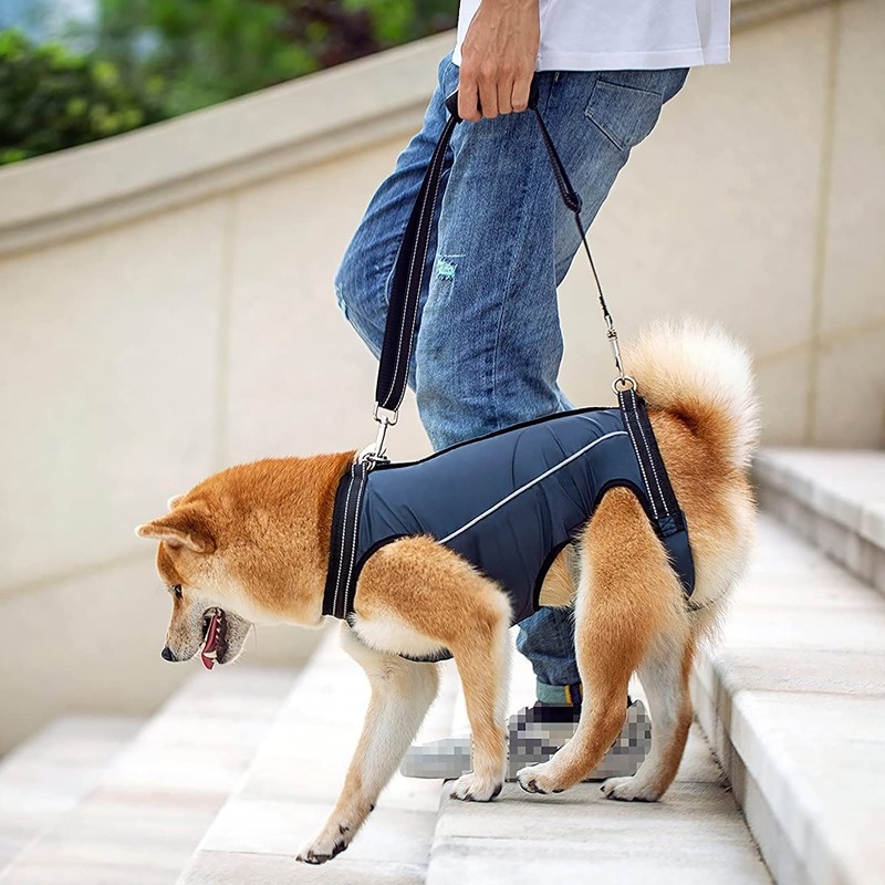 Áo Mặc Đi Dạo Có Dây Đai Hỗ Trợ Chăm Sóc Cho Chó Lớn Tuổi Mới