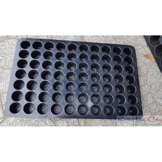 Khay nhựa đa năng phi 4,5cm * 70lỗ, dùng ươm cây con hoặc rau mầm v.v..