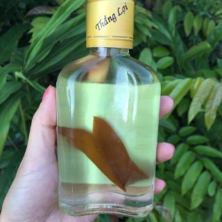 Tinh dầu Tràm Thắng Lợi