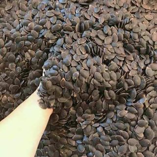 Hạt bí mèo đen