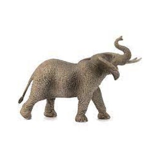 Mô hình Voi Châu Phi đực SCHLEICH 14762